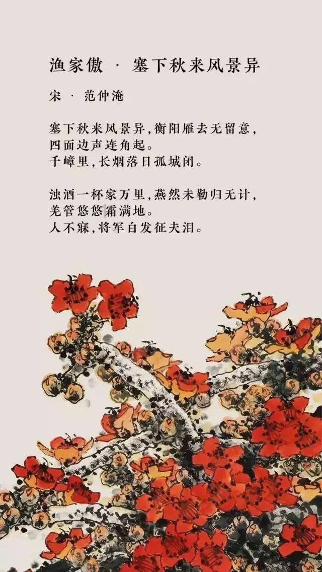 小猫钓鱼开船版最新版下载